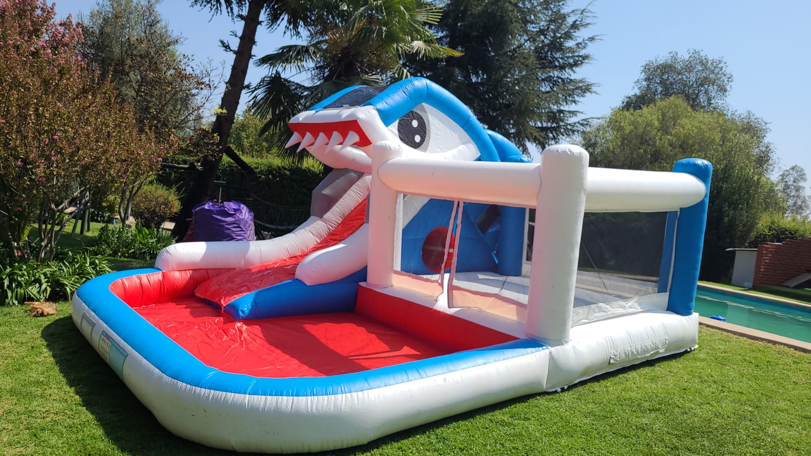 Tiburón Acuático